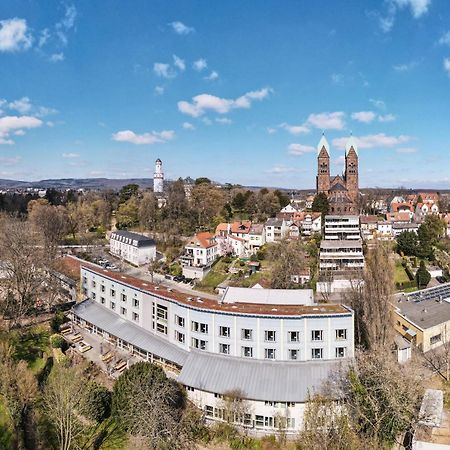 באד הומבורג וור דר הואה Jugendherberge Bad Homburg מראה חיצוני תמונה